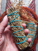 Rosemary (10cm) - SpectrumStore SG