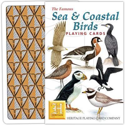 Sea & Coastal Birds - SpectrumStore SG