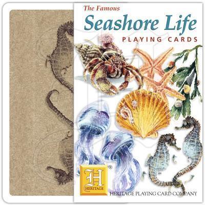 Seashore Life - SpectrumStore SG