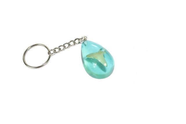 Sharks Tooth Keyring - SpectrumStore SG