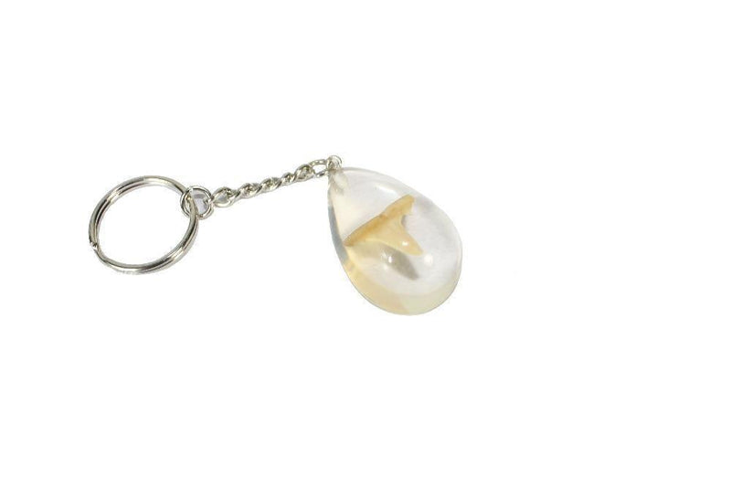 Sharks Tooth Keyring - SpectrumStore SG