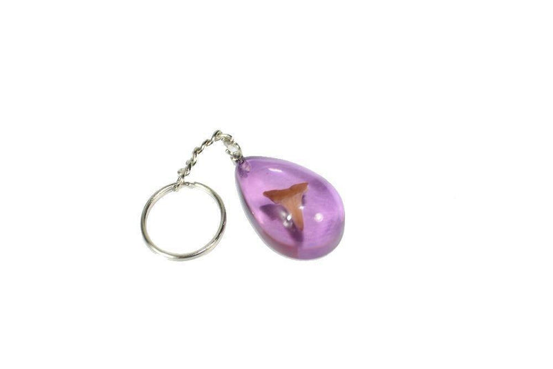 Sharks Tooth Keyring - SpectrumStore SG