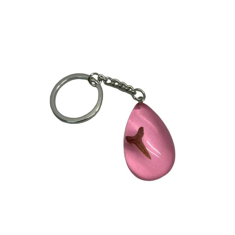 Sharks Tooth Keyring - SpectrumStore SG