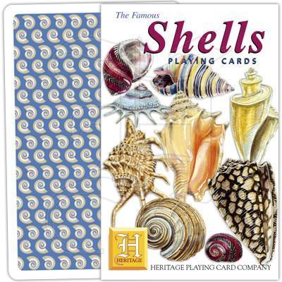 Shells - SpectrumStore SG