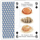 Shells - SpectrumStore SG