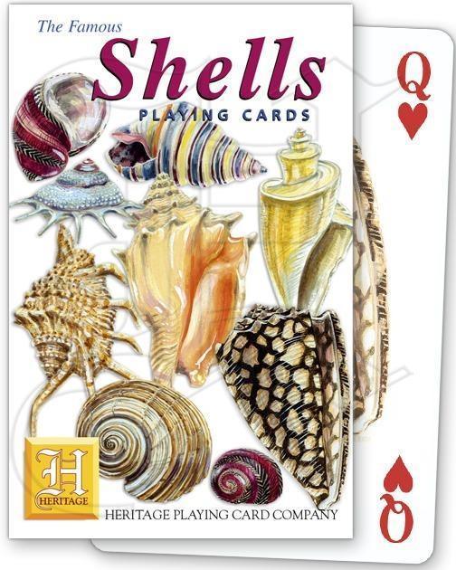 Shells - SpectrumStore SG