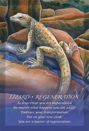 Spirit Of The Animals - SpectrumStore SG