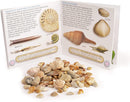 Study Of Fossils Book - SpectrumStore SG