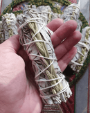 Sweetgrass Braid & White Sage (10cm) - SpectrumStore SG