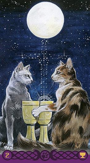 Tarot of Pagan Cats - SpectrumStore SG