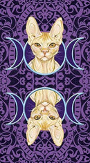 Tarot of Pagan Cats - SpectrumStore SG