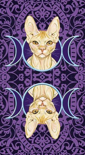 Tarot of Pagan Cats - SpectrumStore SG