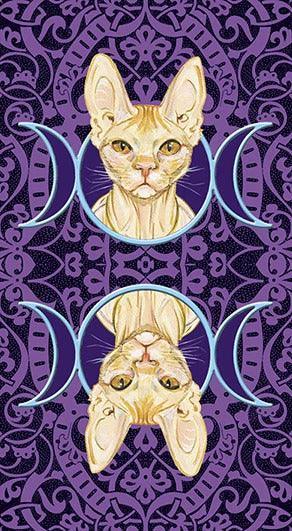 Tarot of Pagan Cats - SpectrumStore SG