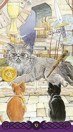 Tarot of Pagan Cats - SpectrumStore SG