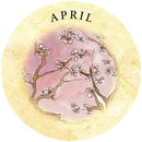 Tea Leaf Fortune Cards - SpectrumStore SG