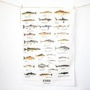 Tea Towel: Fish - SpectrumStore SG