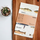 Tea Towel: Fish - SpectrumStore SG