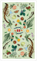The Herbcrafter's Tarot - SpectrumStore SG