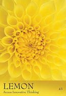 The Secret Language of Colour Cards - SpectrumStore SG