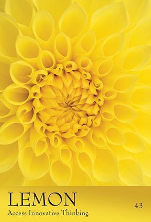 The Secret Language of Colour Cards - SpectrumStore SG
