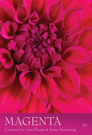 The Secret Language of Colour Cards - SpectrumStore SG