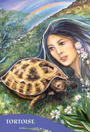 The Zen of Animals Cards - SpectrumStore SG