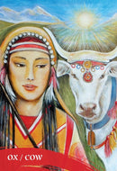 The Zen of Animals Cards - SpectrumStore SG