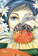 The Zen of Animals Cards - SpectrumStore SG