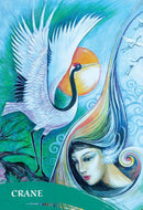 The Zen of Animals Cards - SpectrumStore SG