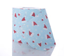 Toilet Roll: Santa Hat - SpectrumStore SG