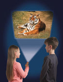 Torch & Projector: Animal - SpectrumStore SG