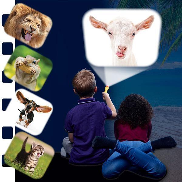 Torch & Projector: Funny Animals | Spectrum Store: Family Lifestyle Store