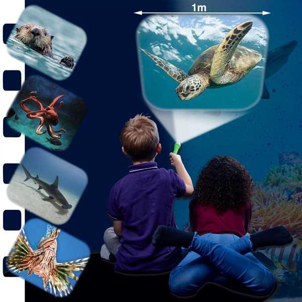 Torch & Projector: Sea Creatures - SpectrumStore SG