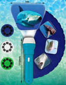 Torch & Projector: Shark - SpectrumStore SG