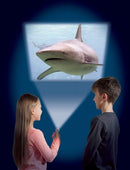 Torch & Projector: Shark - SpectrumStore SG