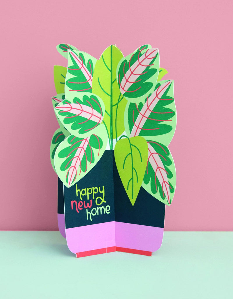 Treasures: 3D fold-out Plant Card - SpectrumStore SG