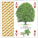 Trees - SpectrumStore SG