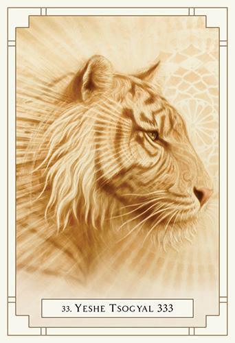 White Light Oracle Cards - SpectrumStore SG