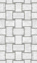 White Sage Tarot In A Tin - SpectrumStore SG