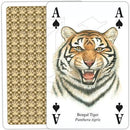 Wild Cats - SpectrumStore SG