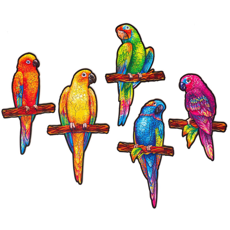 Wooden Puzzle: Playful Parrots (Small/Medium) - SpectrumStore SG