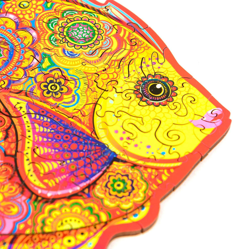 Wooden Puzzle: Shining Fish (Small/Medium) - SpectrumStore SG
