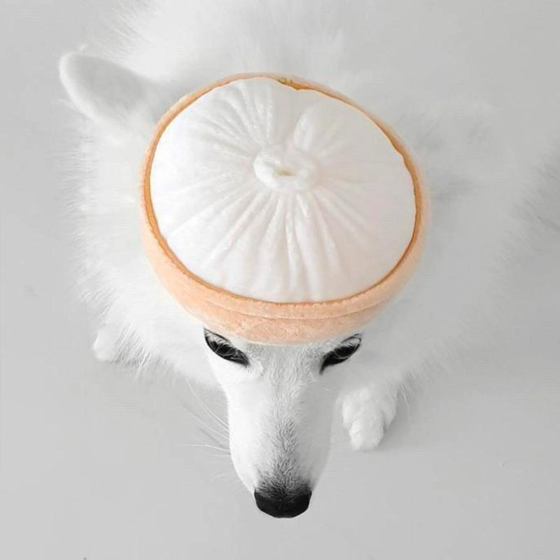 Xiao Long Bao Squeaker Chew Toy - SpectrumStore SG